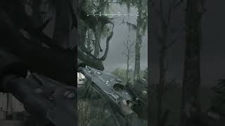 The Power of Bornheim No 3 Sniping 1896 huntshowdown twitch [upl. by Earvin]