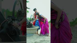 Maroon Color Sadiya Aamrapali Dubey Kalpana Neelkamal Singh FASAL Movie Song shorts viral [upl. by Eggleston]