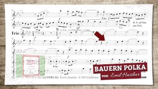 Bauern Polka [upl. by Agnola]