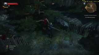 The Witcher 3 Wild Hunt Rescuing an Herbalist in Skellige [upl. by Downing]