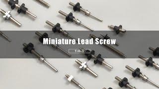 Miniature Custom Lead Screw Spindle with Various Nut [upl. by Eerehs]