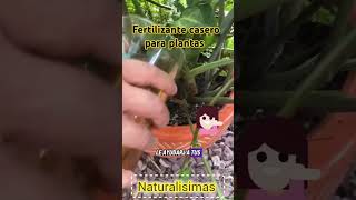 consejo plantas fertilizante casero para plantas [upl. by Sillad582]