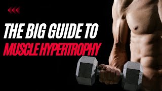 Understanding Hypertrophy and How to Maximise Gains [upl. by Netti151]