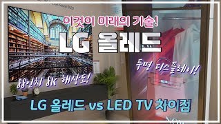 LG 올레드 TV 이것이 미래다  88인치 8K해상도 TV  올레드 TV와 LCDLED TV 차이점  투명하고 구부리고 돌돌말고 이어붙이는 LG 올레드 [upl. by Yreva]