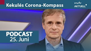 73 quotEinreiseverbote treffen tendenziell die Falschenquot  Podcast  Kekulés CoronaKompass  MDR [upl. by Austine]