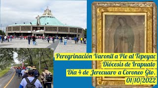 Día 4 Peregrinación Varonil de a Pie al Tepeyac Diócesis de Irapuato Jerecuaro a Coroneo [upl. by Ernesto611]