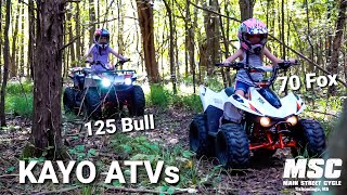 New KAYO ATVs from the Crate to the Trail  Kayo 70 amp 125 Review [upl. by Aillil851]