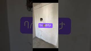 ኮዬ ፈጬ ኮንዶሚንየም ሽያጭ addisababa condo koyefeche ebs realestate property condo apartment house [upl. by Lesiram]