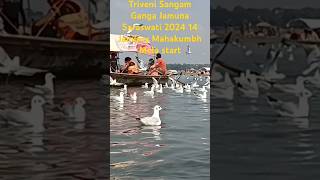 Triveni Sangam  2024 14 January Mahakumbh Mela Triveni Sangam  Allahabad  YouTube short [upl. by Arolf758]