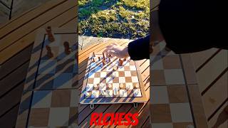 Best opening traps Stafford gambit shorts chess catur staffordgambit [upl. by Tarkany942]