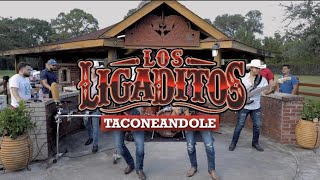 Los Ligaditos  quotTaconeandolequot En Vivo [upl. by Notneiuq]