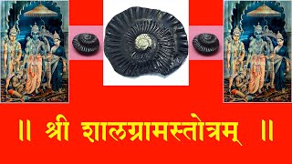 Shalagram Stotram ॥ शालग्रामस्तोत्रम् ॥ Shaligram ॥ शालिग्राम ॥ [upl. by Jenness]