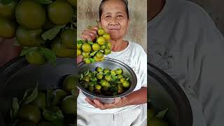 OUR CALAMANSI HARVEST [upl. by Nev185]