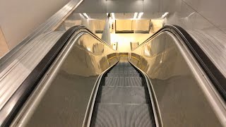 8 Floors Vintage Westinghouse Escalators Macys  State Street Chicago IL [upl. by Katherin]