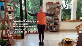 Práctica de Zhineng Qigong con Jaime 6 11 24 [upl. by Ailic928]