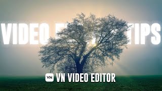 Vn Video Editor Advanced Video editing tips  Vn video editor tutorial 2024 [upl. by Nosylla]