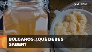 ✅ Búlgaros de leche y agua beneficios y precauciones  Salud180 🌿 [upl. by Eberhart]