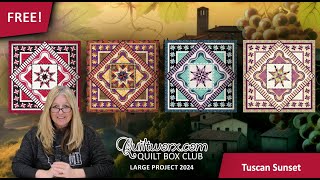 Quiltworx Box Program 2024  Q3 Tuscan Sunset Picket Fence Border [upl. by Bobbette]