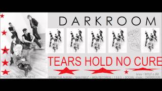 JIM GRAY DARKROOM TEARS HOLD NO CURE OFFICIAL song only [upl. by Cardie]