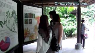 A Lesson at the Singapore Botanic Gardens [upl. by Calisa]