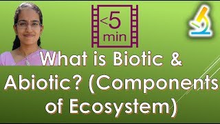 What is Biotic amp Abiotic Components of Ecosystem [upl. by Fawcette17]