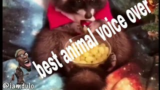 Try not to laugh V2  iamdulo animal voice over [upl. by Fleur591]