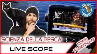 SCIENZA DELLA PESCA Come Funziona il Live Scope o altri Ecoscandaglio [upl. by Ayotahc909]