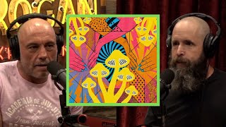 What Happens If You Never Take Psychedelics  Joe Rogan amp Duncan Trussell [upl. by Fortunio]