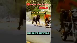 YAMAHA RX100 SOUND BUFFALO REACTION 😱  WAIT FOR END [upl. by Eliseo]