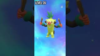 Grookey  Thwackey  Rillaboom  Evolution Pokemon in Scarlet amp Violet pokemon evolution shorts [upl. by Grearson]