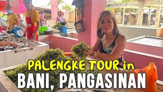 Filipino Market Tour in BANI PANGASINAN  Lovely Town Between Bolinao amp Alaminos  Philippines [upl. by Hsejar]