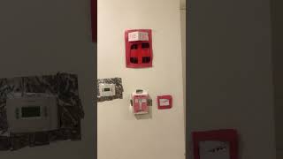 My new paper fire alarms [upl. by Marika]