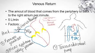 SV EDV EF ESV CO Pulse Venous Return  Samiha Mobashshira [upl. by Maryn]