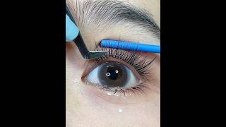 Eyelashes Tutorial Beauty Tips [upl. by Eirod]