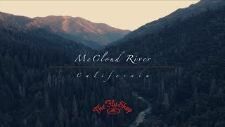 McCloud River fly fishing with The Fly Shop [upl. by Ehudd102]