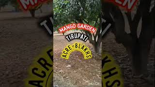 100 Acres mango garden sale  tirupati [upl. by Robin]