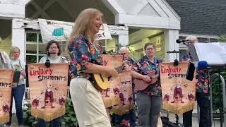 quotSecret Agent Manquot performed live by The Unlikely Strummers 20240722 Wareham Free Library [upl. by Freddy]