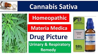 Cannabis Sativa Homeopathic Medicine  Drug Picture  Materia Medica bhms materiamedica cannabis [upl. by Barfuss]