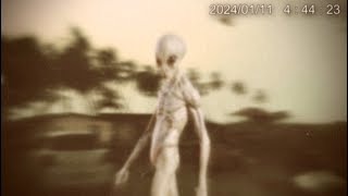 Most Disturbing Things Ever Caught on Camera 2024 [upl. by Conal]