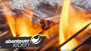 400 Grad  Die ElektrogrillSensation für drinnen und draußen 1  Abenteuer Leben  kabel eins [upl. by Anasiul994]