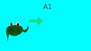 How does lisinopril or ACE inhibitors work [upl. by Shanie]