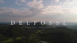 Delfosse Vineyard and Winery [upl. by Hairam702]