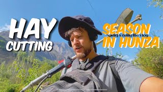 Sadiq’s Daily Life Vlog  Hay Cutting Session In Mayoon Hunza [upl. by Lyreb]