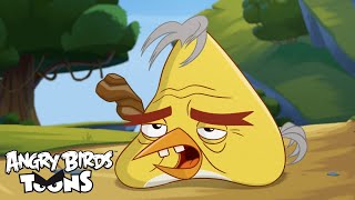 Angry Birds Toons 3 Ep 2 Sneak Peek  quotBad Hair Day” [upl. by Ahsakat985]