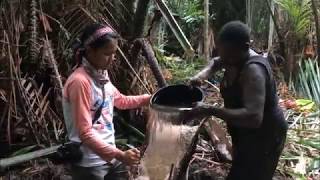 Pangkur Sagu bersama Suku Asmat Kampung Syuru [upl. by Mahsih320]