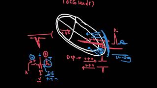 the ECG lead Depolarization and Repolarization [upl. by Anikahs]