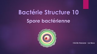 Bactérie Structure 10 SPORE BACTERIENNE sans musique de fond [upl. by Ryle]