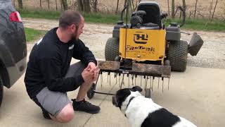 How to Dethatch Your Lawn agri fab dethatcher lowes [upl. by Nire]