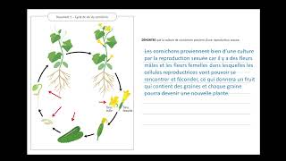 CE1D Sciences 2022  question 13 [upl. by Jp]