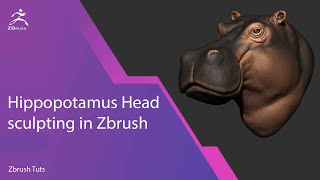 Hippo Head sculpting in Zbrush from Scratch for Beginners [upl. by Bret809]